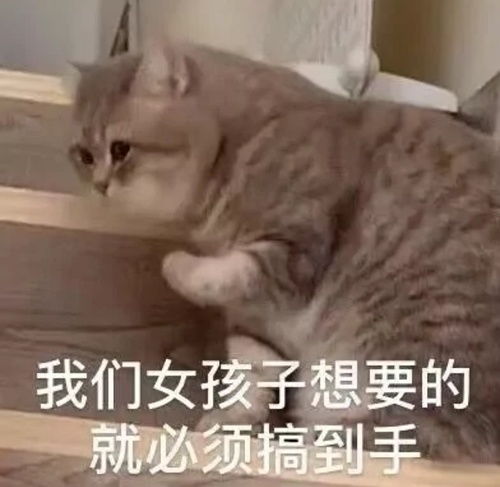 马