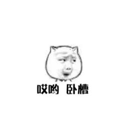 早安心语句子181223我自倾怀,君且随意
