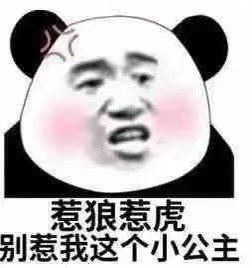 熊猫头表情包惹狼惹虎别惹我这个小公主