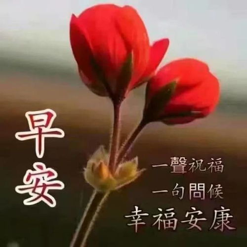 8张非常漂亮的早安表情图片创意唯美的秋日早上好问候祝福图片精选