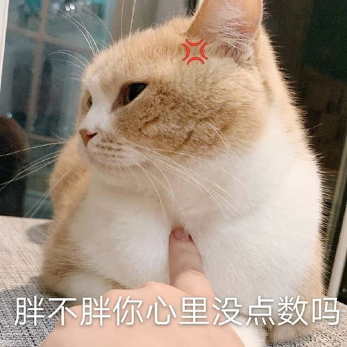 幽默笑话这时候你还有心情猜灯谜