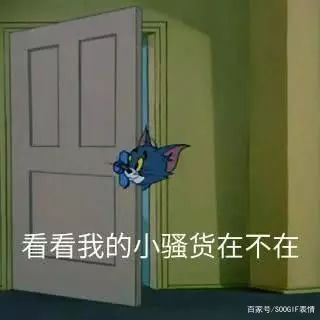 90后回忆杀丨猫和老鼠表情包,沙雕又有趣