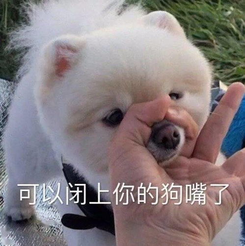沙雕表情包