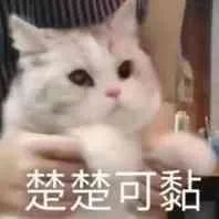 王思聪新欢甜仇算啥最美前女友当属改头换面的她