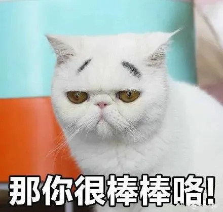 表情包全套熊猫头功夫表情包,拿走不谢