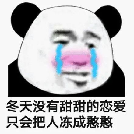 沙雕表情包大全,猫咪可爱表情包动态罗文姬表情包表情包