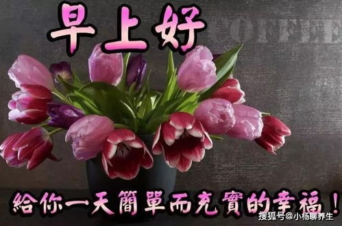 清晨早上好图片问候祝福语句子,愿你微笑今天,快乐永远