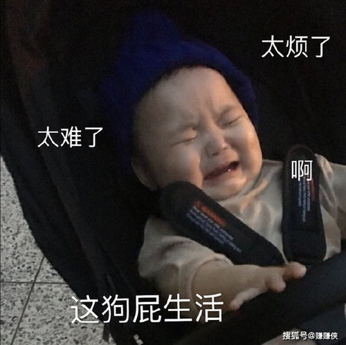 搞笑表情包图片没眼看