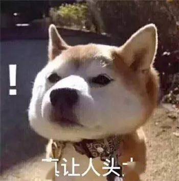 最全沙雕狗子表情包合辑年度最傻狗子都在这儿了