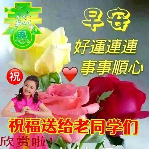 早上好搞笑表情包表情包