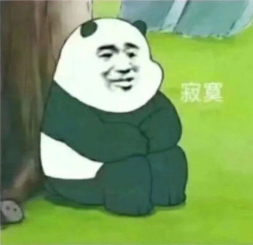表情sir小妹妹,看这边