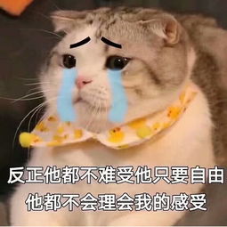 表情包上学让我充实,快乐,默默问一句00后莫不是疯了吧