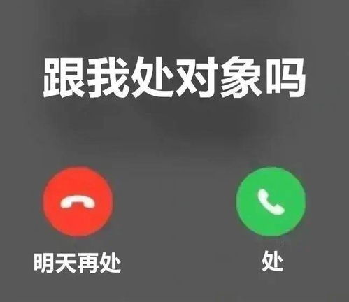 聊天必备表情包215可爱搞怪沙雕表情包