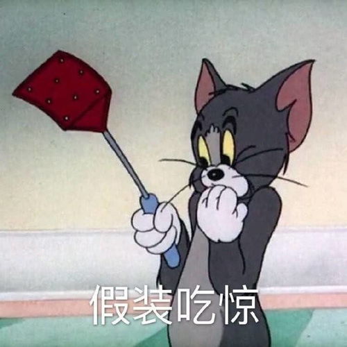 沈月doki超全的沈月资讯粉丝直播活动集合