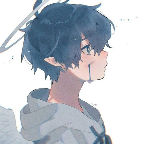 高质量动漫男头