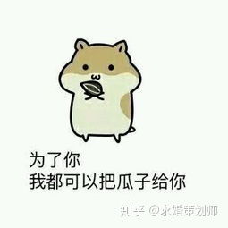 大连浪漫求婚策划文案