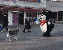 幽默搞笑段子集猫发现被偷拍,瞬间反应的表情笑到胃疼