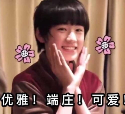 时代少年团宋亚轩表情包