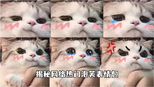 你可能不知道小泡芙,但一定见过她的表情包