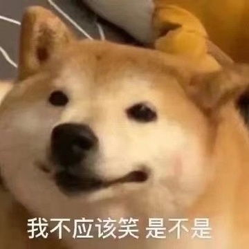 我的收藏
