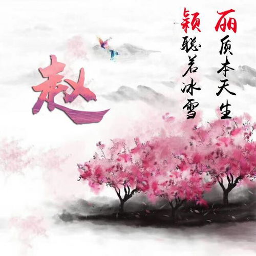 这位17岁休学的少女,最大的爱好竟然是...