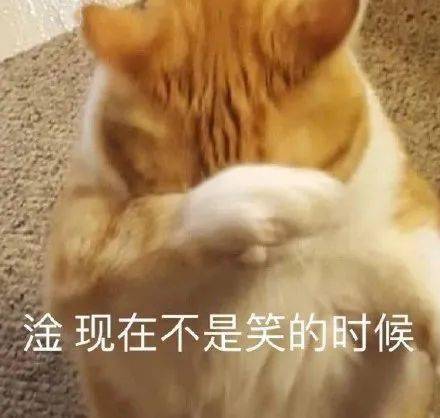 搞笑段子差一点儿是什么意思难道你想当一家之王