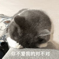 每日精选沙雕表情包