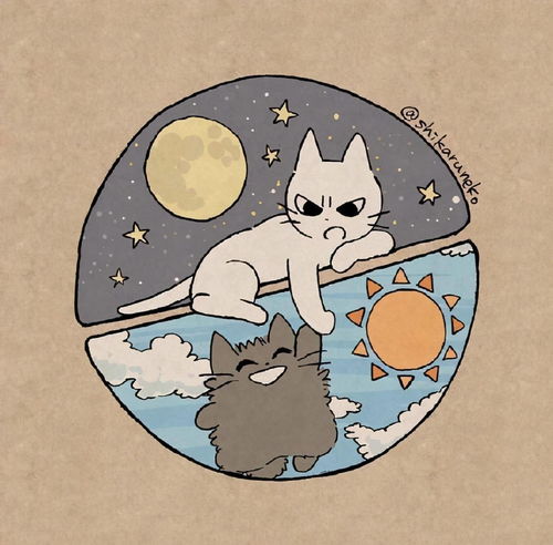 虽然猫耳娘很可爱,但是这位画师大佬画的暴躁猫猫也超萌的