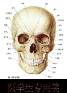 你所在的领域有什么有趣的表情图