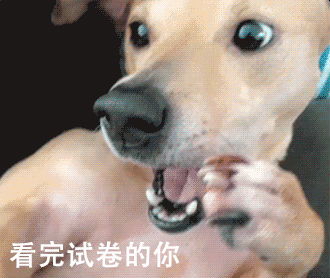 高考动态表情包