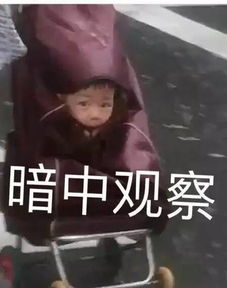 塔拉斯杀到了过两天放晴太天真了,更悲催的是