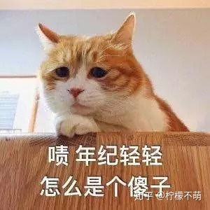 有没有比较搞怪的文案和表情包,来分享下吧