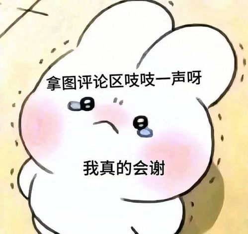 40岁终于找到喜欢的头像简单干净成熟治愈,也适合18岁的你紫妹财神网易订阅