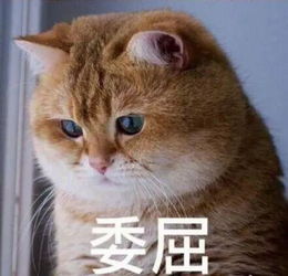 心慌慌和领导聊天,收到微笑表情回复,啥意思在线等