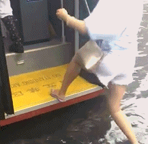 搞笑gif看这场面厕所的主人一定经历过绝望