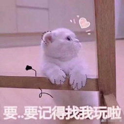 情侣之间甜甜的表情包我的小宝贝在吗