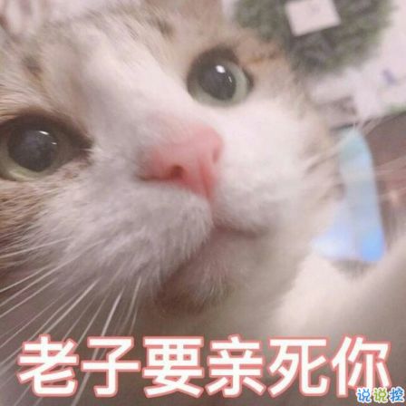 七夕情人节发什么说说搞笑2018七夕发朋友圈搞笑说说段子加配图