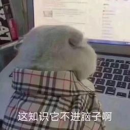 重磅换题季强攻略,保你八炸