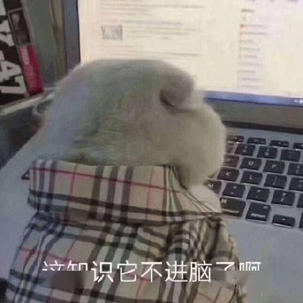 洛杉矶慈母和虎妈的共存时刻,就在这一小时内