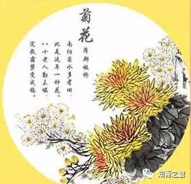 人生十乐有钱买不到,经典