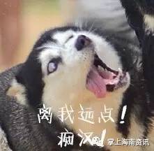 真疼一男孩命根子就这样掉了.....新蔡家长要当心啊