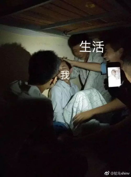 我把领导p成表情包,然后不小心发到了工作群,我会不会死