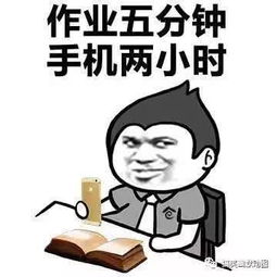 搞笑gif亲妈,鉴定完毕
