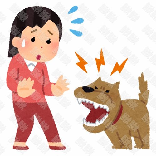 讨厌和女主人关系特别差的小狗狗猫咪小猫手绘卡通插画手绘png儿童插画免扣素材2阿猫阿狗