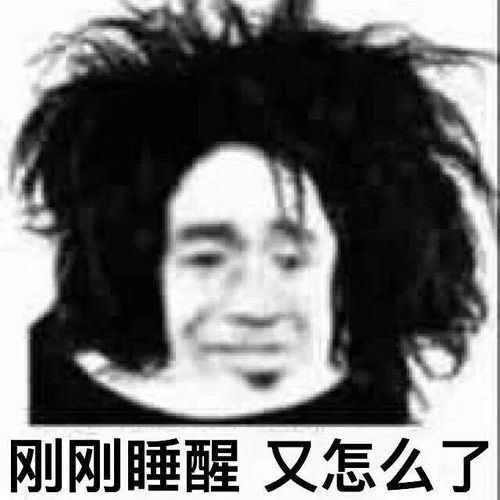 我的收藏夹