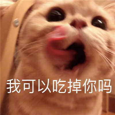 不会相信你的鬼话让你收获好心情的搞怪表情包