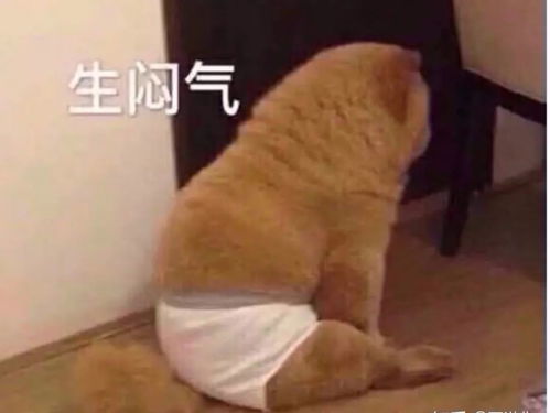国庆幸福感不高可能是因为我上路开车了