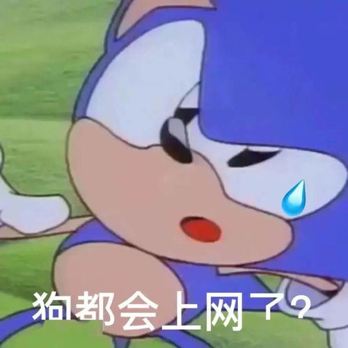日常沙雕表情包i狗都会上网了
