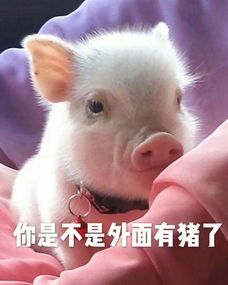 开心一下