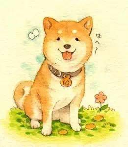 我打算养一只狗,哈士奇,柴犬选哪个都是二狗